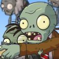 Plants vs Zombies Grafted icon